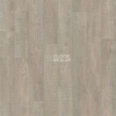 Линолеум Tarkett Discovery Hudson 2 фото 1 | FLOORDEALER